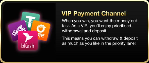 baji999-VIP-payment-channel